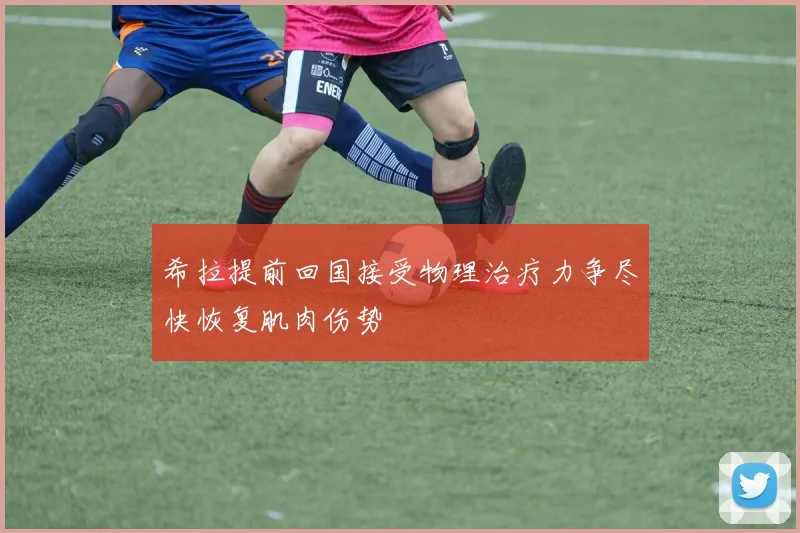 希拉提前回国接受物理治疗力争尽快恢复肌肉伤势